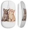 Image de souris sans fil chats mignons