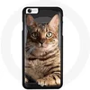 Image de Coque pour Iphone 7 Plus Chat chaton Bengal