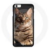 Image de Coque pour Iphone SE 2020 Chat chaton Bengal