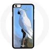 Image de Coque pour Iphone 5/5S - SE Cacatoès perroquet