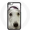 Image de Coque pour Iphone 8 Plus Chien Greyhound