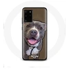 Image de Coque pour Samsung Galaxy S11 Plus Chien Pitbull Blanc gris