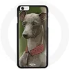 Image de Coque pour Iphone 7 Plus Chien Greyhound gris