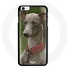 Image de Coque pour Iphone 8 Plus Chien Greyhound gris