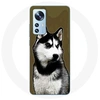 Image de Coque pour Xiaomi Mi 12 / 12X Husky de Sibérie