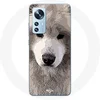 Image de Coque pour Xiaomi Mi 12 / 12X Samoyède Gris Race de chiens