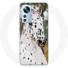 Image de Coque pour Xiaomi Mi 12 / 12X Appaloosa Cheval blanc