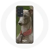 Image de Coque pour Samsung Galaxy A13 4G / A13 4G Lite Lévrier greyhound Gris