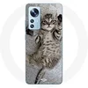 Image de Coque pour Xiaomi Mi 12 / 12X Chaton Bengal mignon