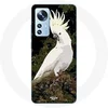 Image de Coque pour Xiaomi Mi 12 / 12X Cacatoes Perroquets Blanc sur l'arbre