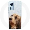 Image de Coque pour Xiaomi Mi 12 / 12X Petit basset griffon vendéen