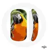 Image de Souris Sans Fil Aras Perroquet Orange vert ()