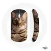 Image de Souris Sans Fil Bengal Race de Chats ()