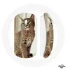 Image de Souris Sans Fil Siamois Race de chats ()