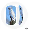Image de Souris Sans Fil Cacatoès Perroquets blanc Oiseaux ()