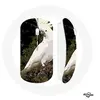 Image de Souris Sans Fil Cacatoes Perroquets Blanc sur l'arbre ()