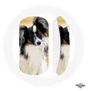 Image de Souris Sans Fil Epagneul nain continental papillon Race de chiens ()