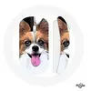 Image de Souris Sans Fil Epagneul nain continental papillon Chiot Blanc et marron ()
