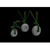 Image de B-24 Wheels (8spoke Front Wheel) For Hobby Boss - 1:32e - Accessories