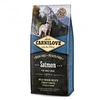 Image de Croquettes pour chien Adult au Saumon - 1,5kg