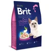 Image de Brit Nourriture Pour Chats Adultes Premium By Nature Poulet 8kg 8kg