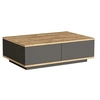Image de Table basse avec 2 portes - Naturel et Anthracite - LOTULA