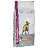 Image de Eukanuba Nourriture Pour Chien Au Poulet Golden Retriever 12kg 12kg