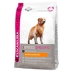 Image de Croquettes adulte golden retriever sac 12 kg (dluo 6 mois)