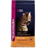 Image de Croquettes au poulet et foie Top Condition 1+ - Toutes races - 10kg - Pour chat adulte