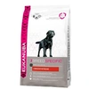 Image de Croquettes adulte labrador sac 12 kg