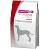 Image de Eukanuba Nourriture Pour Chiens Adultes Veterinary Diet Intestinal 12kg 12kg