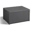 Image de Table de rangement Arica Graphite 221044