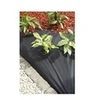 Image de Nappe de paillage - noir 50 gr/m² - 1x10 m