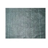 Image de Toile de paillage 100 gr/ m² noir prédécoupée 2 x 5 m