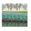 Image de Toile de paillage paysages - vert 90 gr/m² - 1x10m