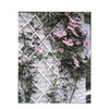 Image de Treillis extensible plastique blanc - 50x150cm