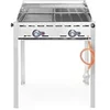 Image de Barbecue Green Fire avec 2 brûleurs Profi Line Plaque et grille en fonte émaillée GN 1/1