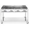 Image de Barbecue Green Fire avec 4 brûleurs Profi Line sur support avec roulettes Gris 22kW