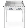 Image de Barbecue Green Fire avec 2 brûleurs Profi Line 2 grilles en inox GN 1/1 116kW