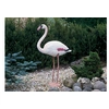 Image de Flamant rose décoratif de bassin à poser