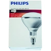 Image de Lampes Chauffage infrarouge IR 250 CH EAN : 8711500575234