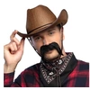 Image de moustache de cow boy-gringo - 01805