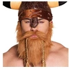 Image de barbe rousse viking avec tresses - 01847