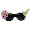 Image de 02617 Lunettes Paradise, One Size