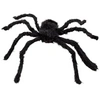 Image de araignée velue 50x65cm noir - 74394