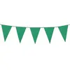 Image de drapeau PE 10 mètres vert