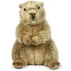 Image de Peluche marmotte 23 cm