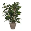 Image de Plante artificielle Mica Decorations Ficus natasja Vert Polyester H40xl30xL30cm
