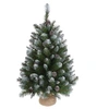 Image de Sapin de Noël artificiel Triumph Tree Empress Vert Plastique H90xl71xL71cm