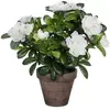 Image de Mica Plante Artificielle Azalea